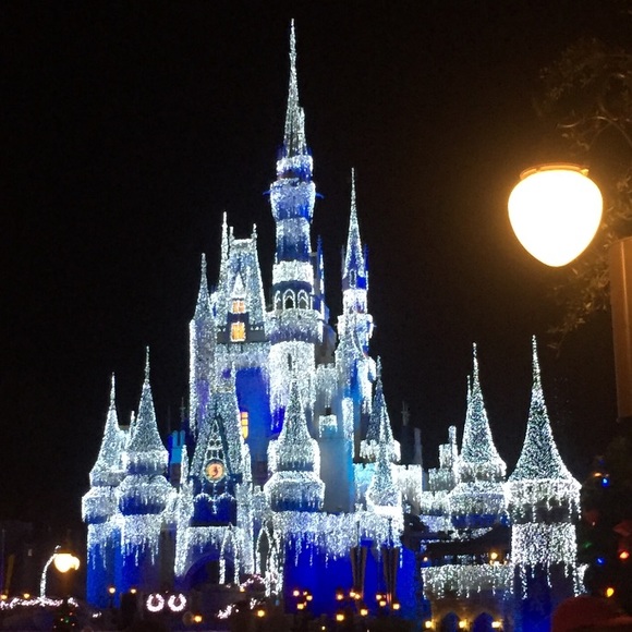 Meet your Posher, Kalli - Picture 1 of 1